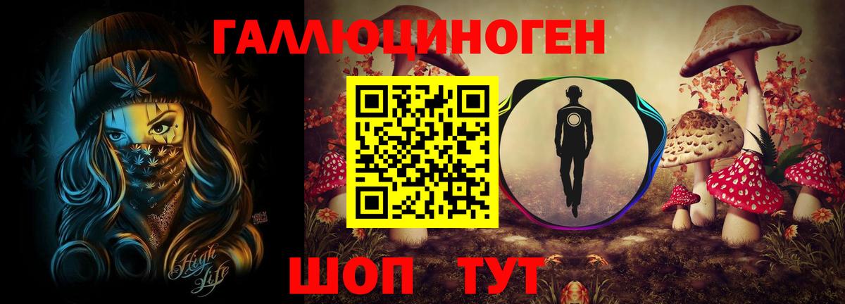 Истра  Псилоцибиновые грибы Cubensis  Вход с VPN 