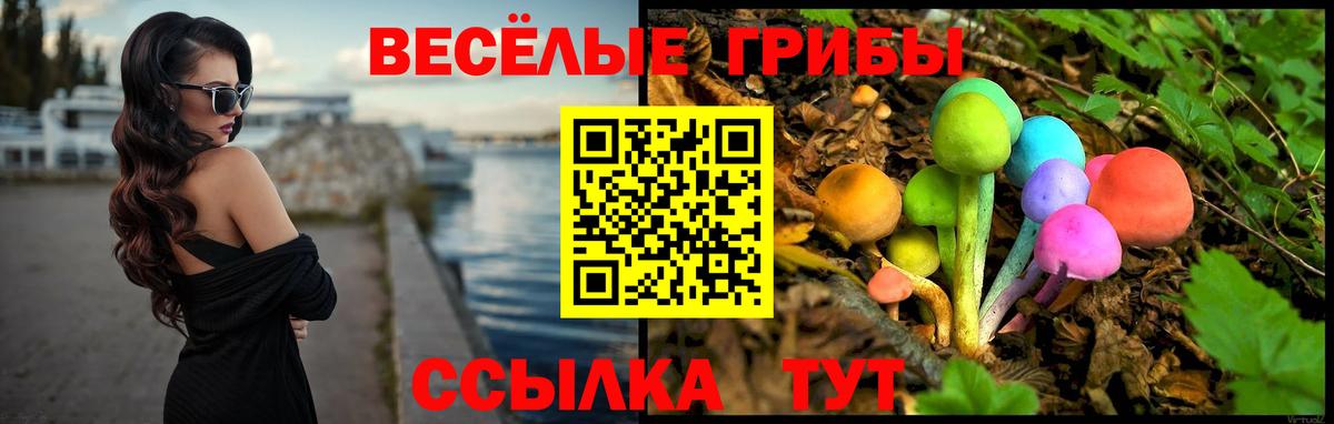 Галлюциногенные грибы Psilocybine cubensis Истра